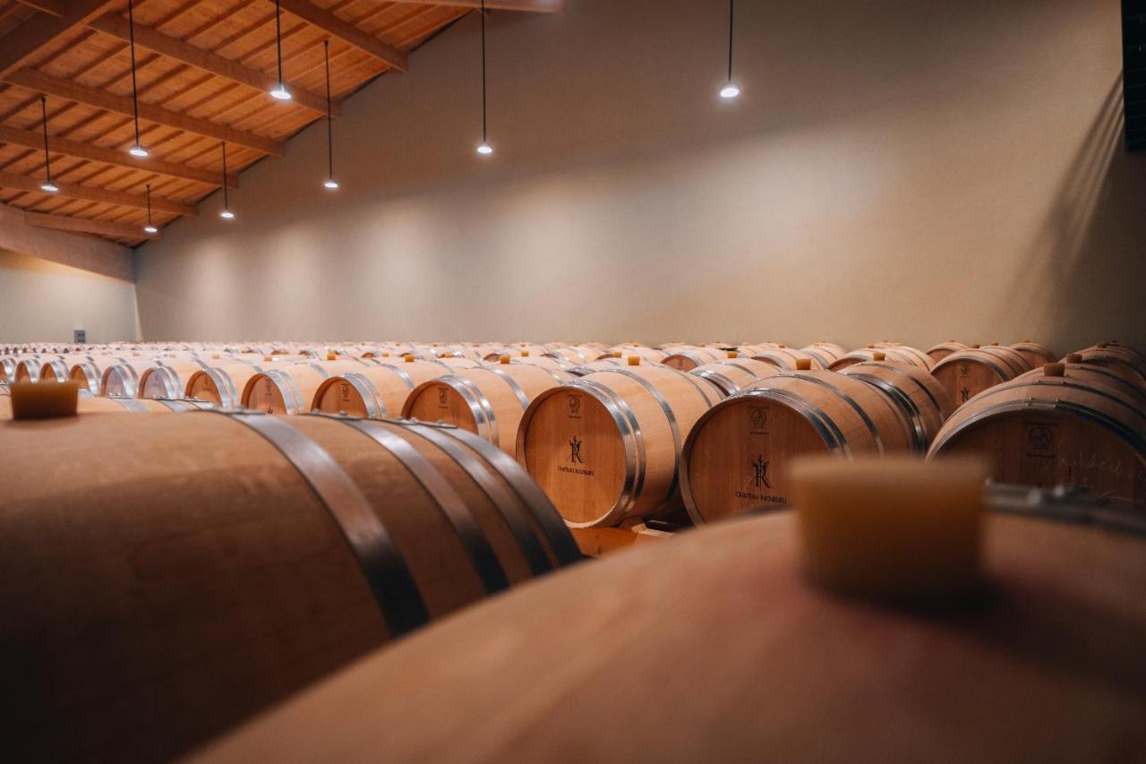 Chateau Richelieu Fronsac  Eksteriør billede